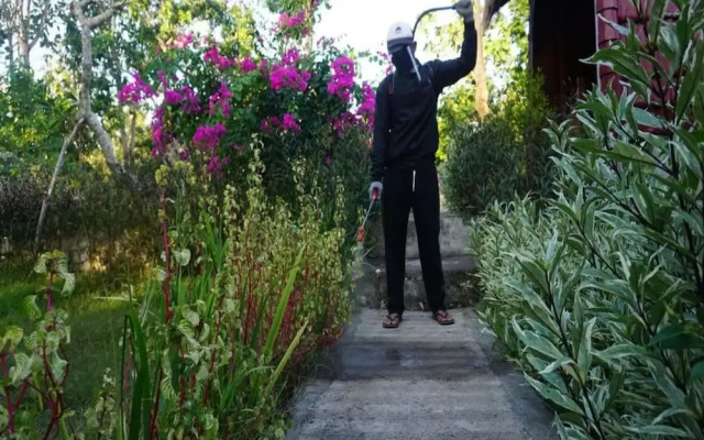 Bougainvillea Bungalow