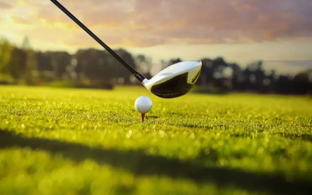 Swiss-Chalet Merlischachen - Historik Chalet-Hotel Lodge