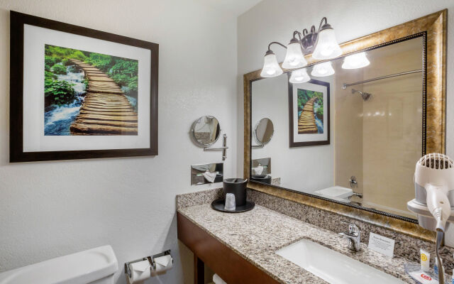 Quality Inn & Suites Anaheim At The Park