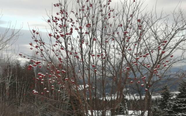 Les Trois Mentors Ghandi, Mandela, Luther King