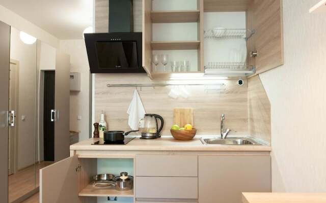 DZirconia Elagin Island Apartments