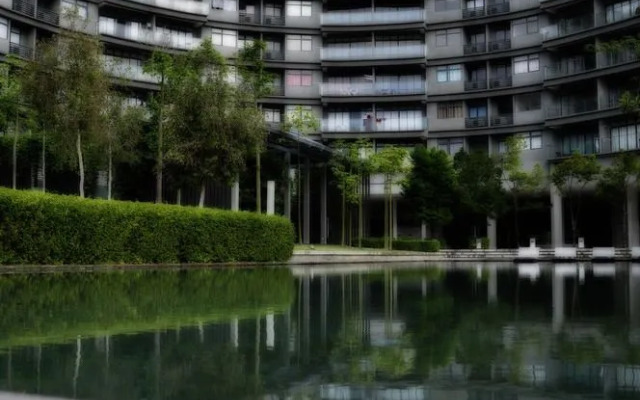 Pinebox Mirage by the Lake