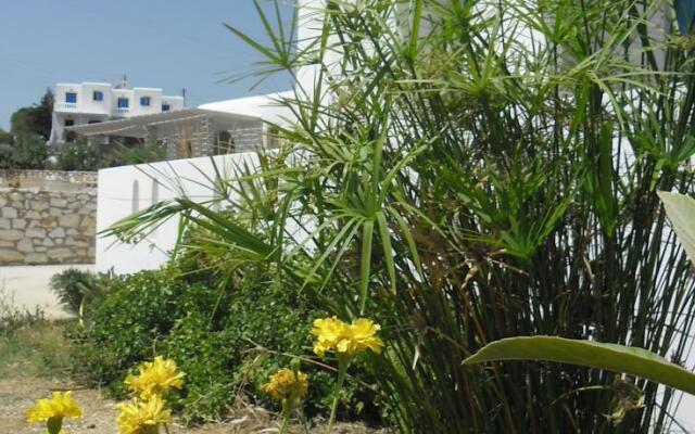 Studios Parian Blu