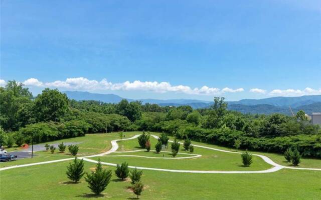 Brother Bear - Three Bedroom Condo