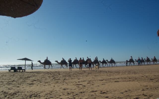 Essaouira Youth Hostel & Social Travel