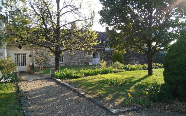 Les Camélias des Demoiselles de Pallus