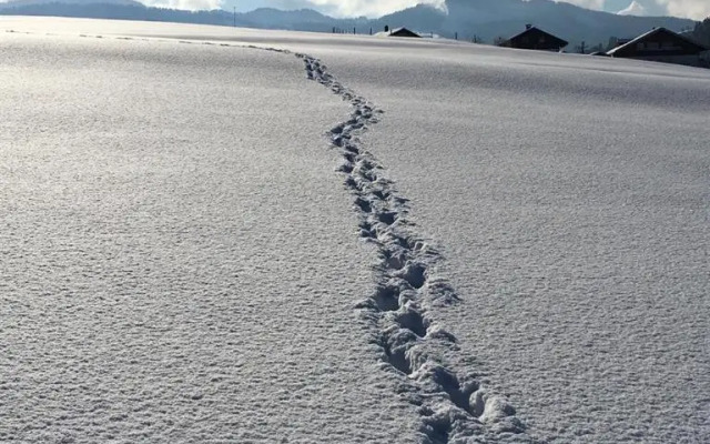 Ferienwohnungen Britta Heim