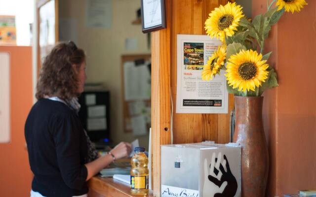 A Sunflower Stop - Hostel