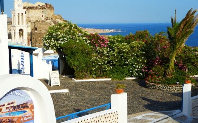 Thira's Dolphin