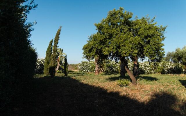 Torre Raganella by Wonderful Italy - Apartment