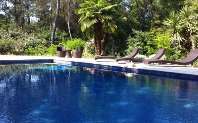 Provence Secrète - Entre Vigne & Pinède