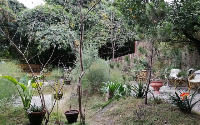 Lavee Residence