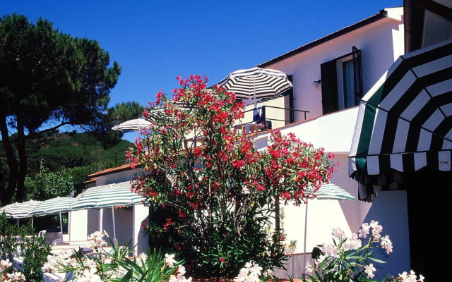 Paradiso