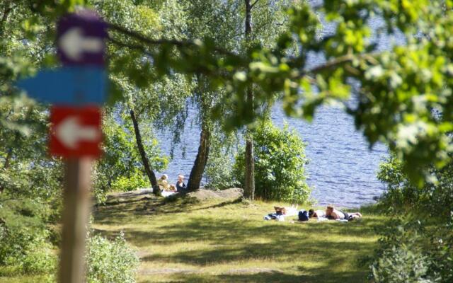 Röksvamp 3