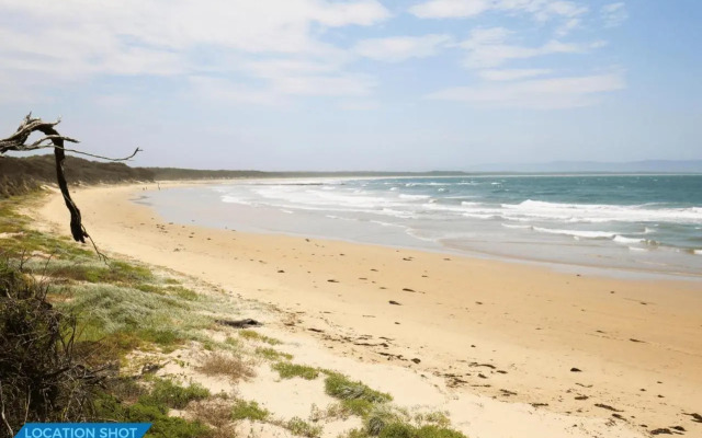 The Crescent - Pet Friendly - 1 Min To Beach