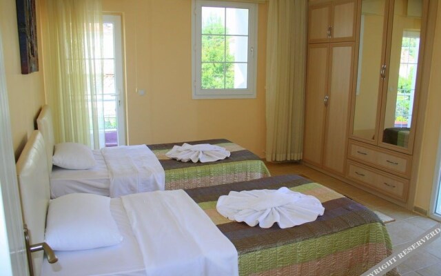 Dream of Holiday Calis