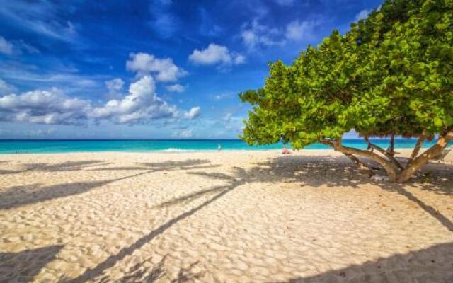 Only 350 yards from Eagle beach! Breakfast included!
