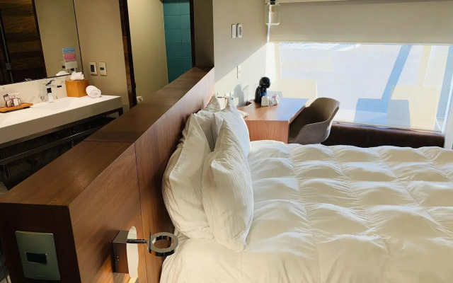 Express Mision Df - Zona Rosa