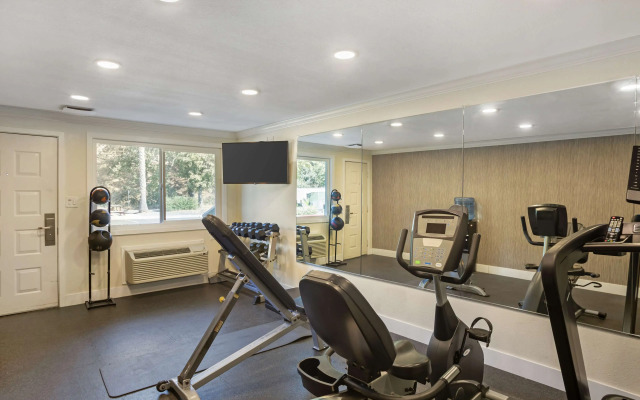 Best Western Shadow Inn