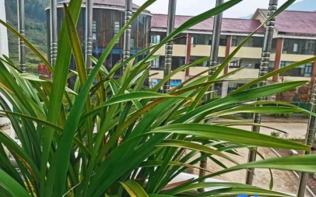Jinggangshan Yueke Zhi Jia Homestay