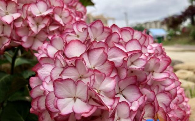 Tuta Yunxuan Hotel (Qiandongnan Danzhai Wanda Town)