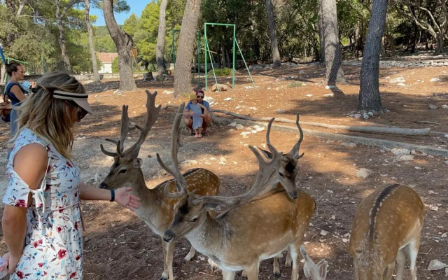 Gold & Silver Apartments