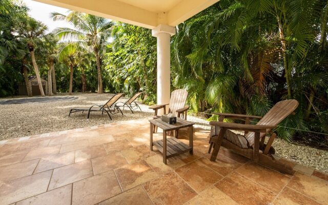 White Orchid Apartments