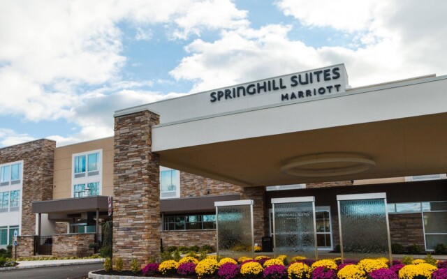 Springhill Suites Somerset Franklin Township