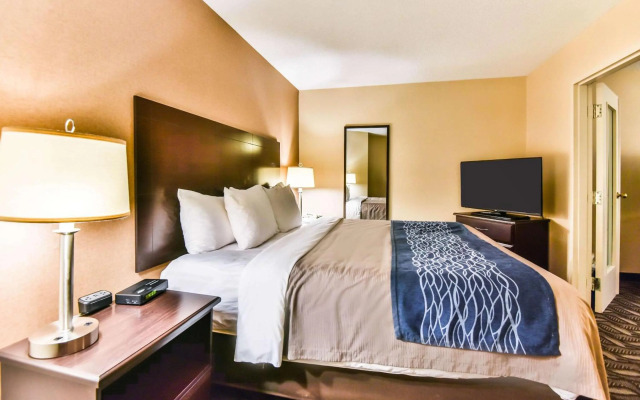 Comfort Inn & Suites Ambassador Bridge