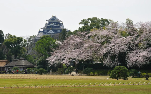 Okayama View Hotel