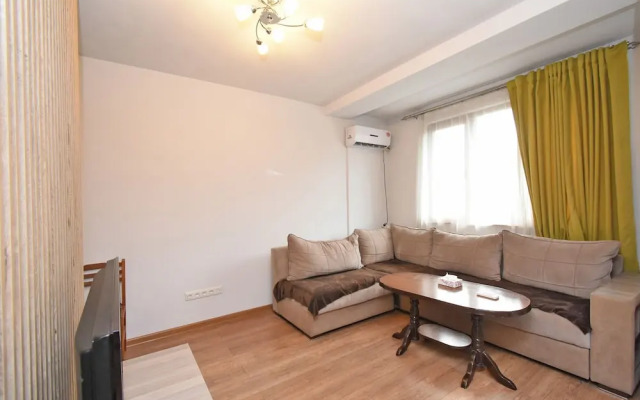 Sunny apartment on Pushkin street