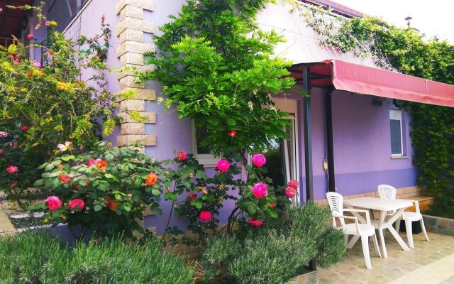 ApartHotel Viola