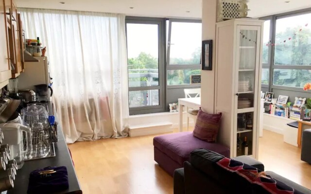 Large 1 Bedroom Flat Near Brixton