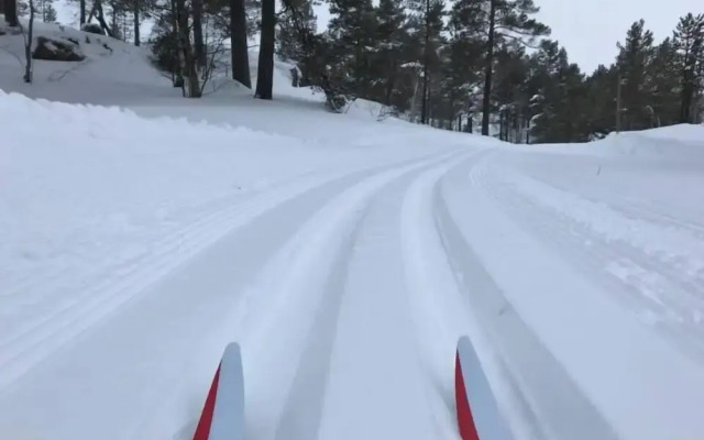 Ski Lodge & Apartments Gautefall