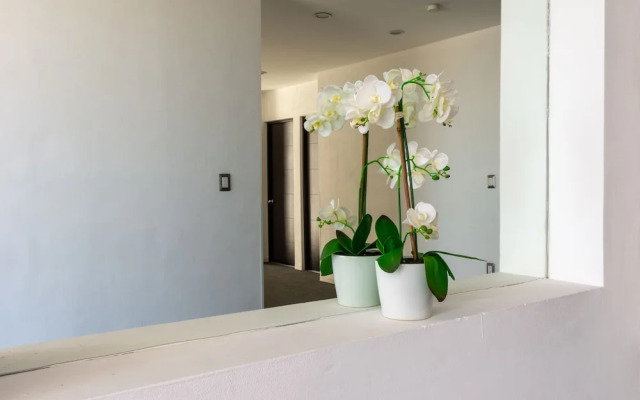 Mexico Inn Express Salamanca