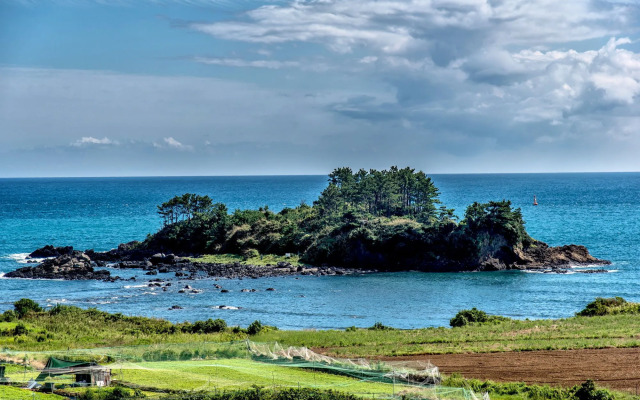 Wind Direction Village