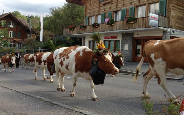 Hotel Bellevue Bären