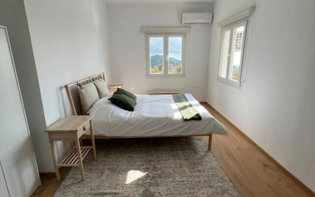 Cozy 1 BDR retreat in Platres mountain