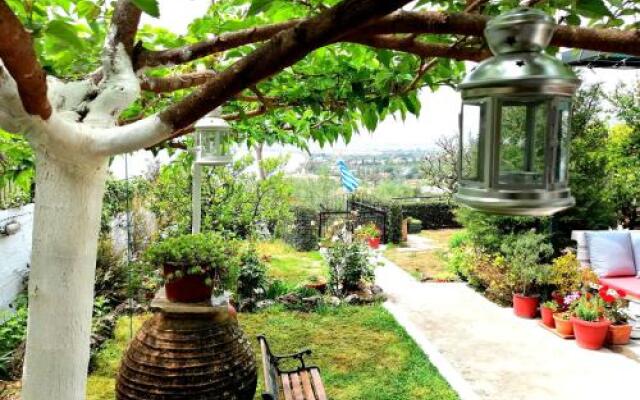 Vasiliki Guest House