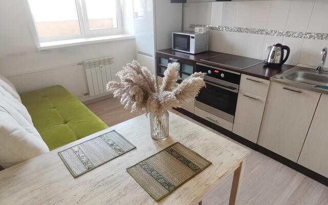 Апартаменты на улице Ядринцева