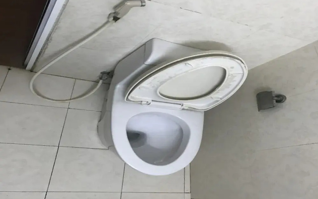 Oyo 442 Holiday Hotel