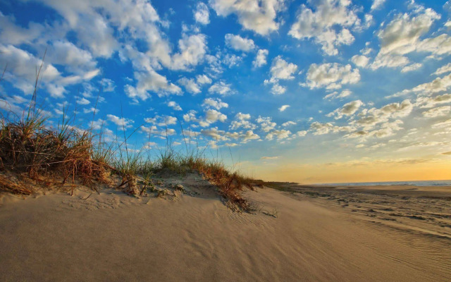 Marriott's SurfWatch