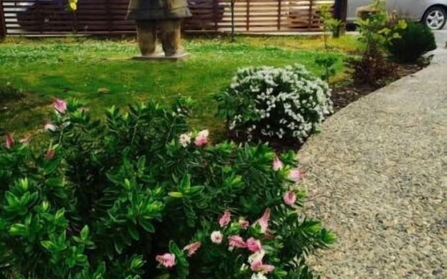 Dunedin Boutique Homestay