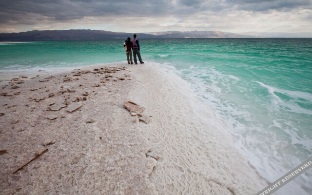 Belfer's Dead Sea cabins- Apartments