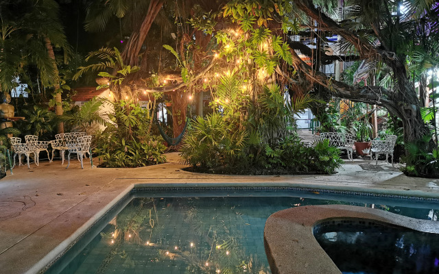 Eco-Hotel El Rey del Caribe