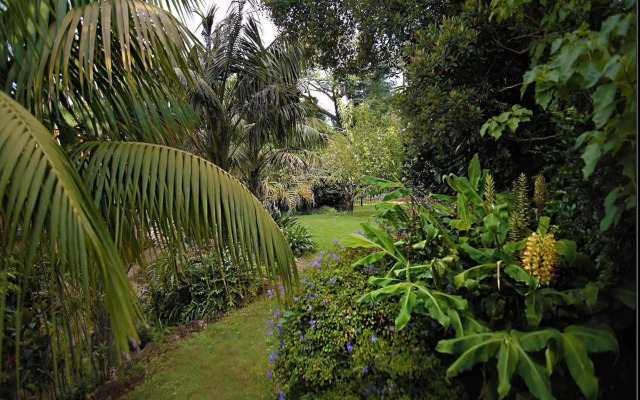 Mountain Sanctuary B&B