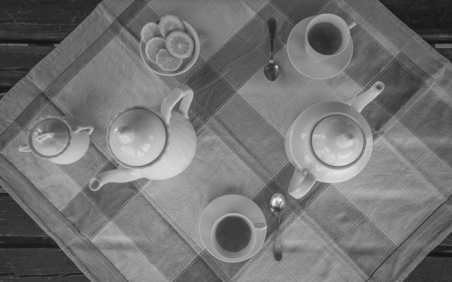 Ficonovo is Your Agritourism With Pool