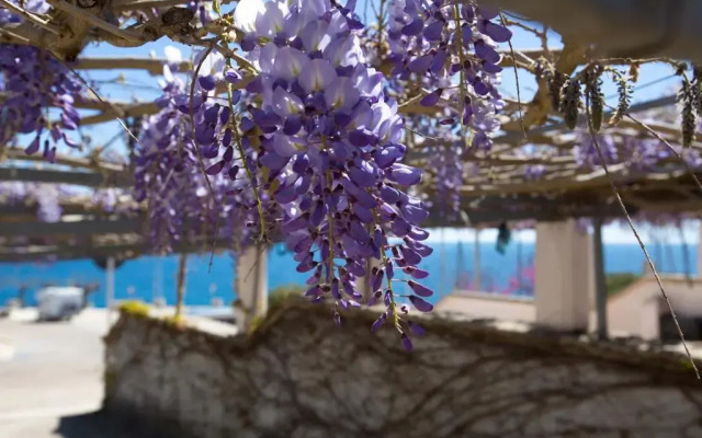 Casa Botte by BarbarHouse