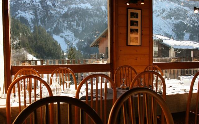 Ternelia - Le Telemark