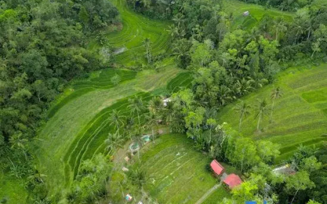 Pesona Bali Ecolodge by Agata